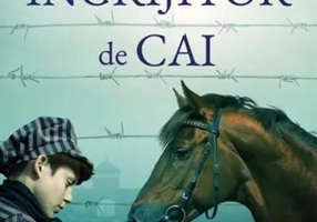 Micul îngrijitor de cai