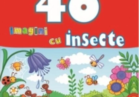 Colorăm. 40 imagini cu insecte