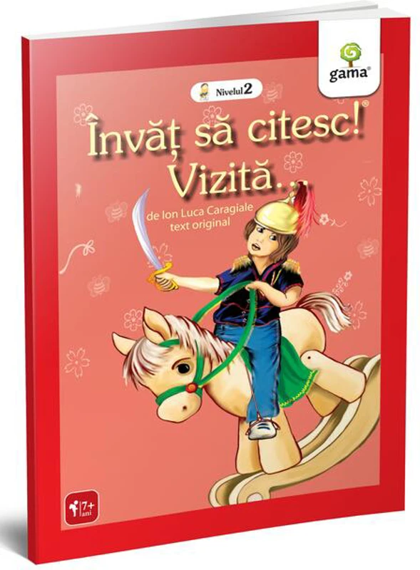 Vizită