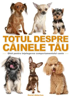 Totul despre câinele tău