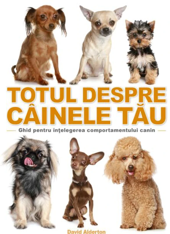 Totul despre câinele tău
