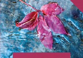 Moartea unei călăuze pe râu