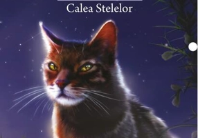 Calea Stelelor (Vol. 30)