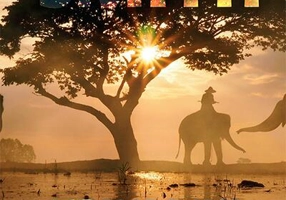 Triumful soarelui (Vol. XII)