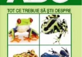 Tot ce trebuie să știi despre amfibieni