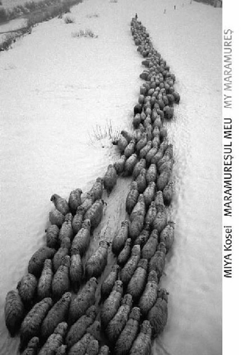 Maramureşul meu / My Maramureș