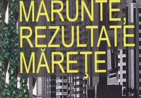 Lucruri mărunte, rezultate mărețe