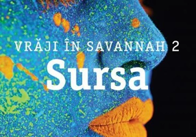 Sursa. Vrăji în Savannah (vol.2)
