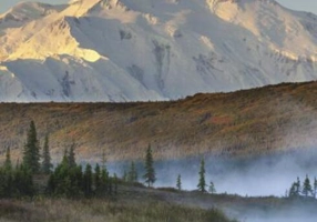 American National Parks