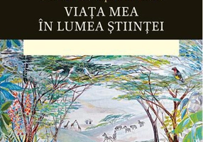 Candelă de-o clipă-n întuneric