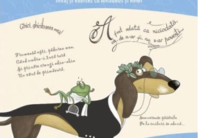 Cartea de literatură pentru învățământul primar. Învăț și exersez cu Amadeus și ReMi