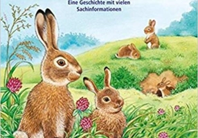 Kleine Feldhasen und Kaninchen werden groß