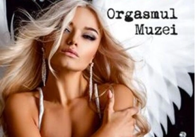 Orgasmul muzei