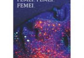 Femei… Femei… Femei… - Constantin Cublesan