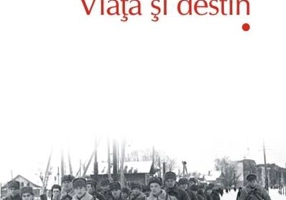 Viață și destin (Top 10+) (2 volume)