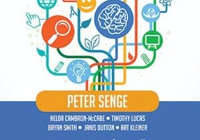 Școli care învață. A cincea disciplină aplicată în educație
