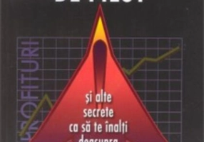 Perspectiva de pilot și alte secrete ca să te înalți deasupra mulțimii