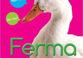 Ferma. Primele mele imagini