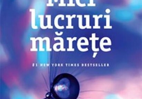 Mici lucruri mărețe