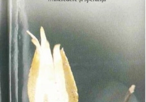 Înțelepciunea...încredere și speranță