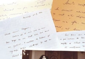 Amita noastră... Epistole Amita Bhose - Traian Blajovici