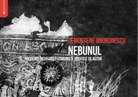 Nebunul (audiobook) Demostene Andronescu