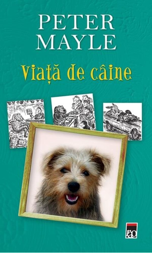 Viaţă de câine