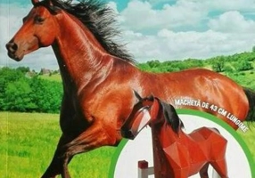 Construiește-ți un cal