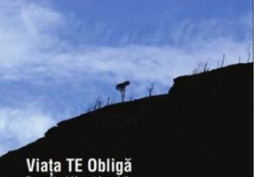Viața te obligă. Nu renunța nici în ruptul capului!