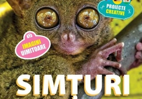 Simțuri. Seria Discover Science