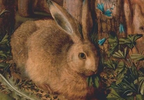 Gentilomii din Sierra-Morena. Iepurele bunicului