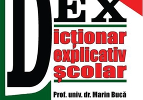 Dicționar explicativ școlar