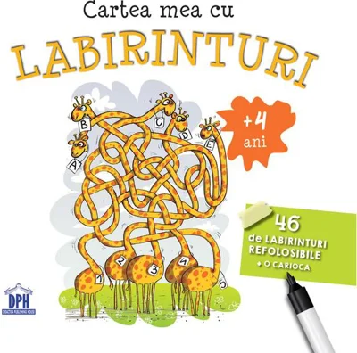 Cartea mea cu labirinturi. 46 de labirinturi refolosibile + o cariocă (4+ ani)