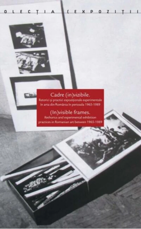 Cadre (in)vizibile / (In)visible frames