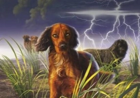 Un drum primejdios. Supraviețuitorii (Vol. 4)