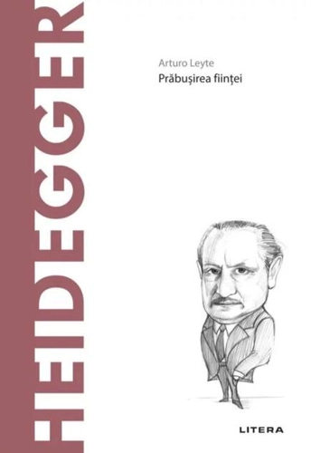 Heidegger (Vol. 14)