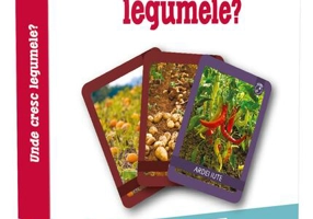Unde cresc legumele? EduFlash