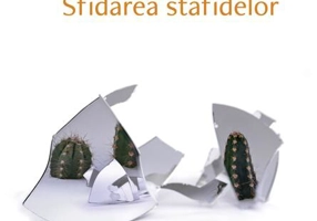 Sfidarea stafidelor