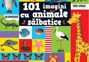 101 imagini cu animale sălbatice