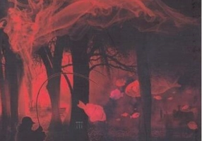 Opiniile unui călător nedemn de încredere (RESIGILAT)