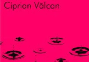 Elogiul bâlbâielii