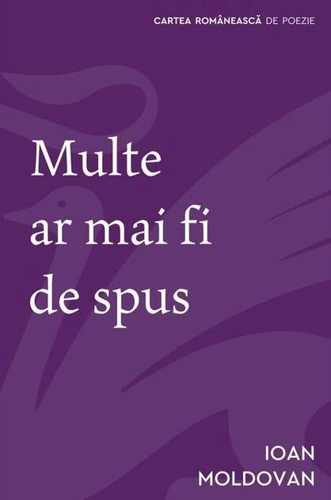 Multe ar mai fi de spus