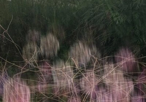 Setări avansate de lumină