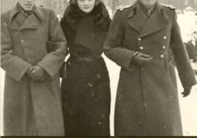 Cai verzi pe pereți