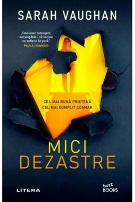 Mici dezastre