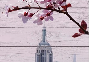 Ai Suru - A iubi (vol. 2)