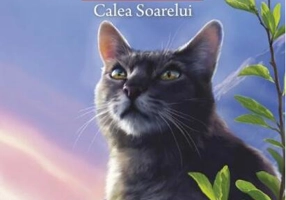 Calea Soarelui (Vol.25)