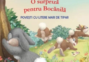 O surpriză pentru Bocănilă