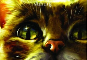 Amurg (Vol. 11)