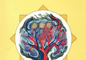 Meditație la medicina biblică